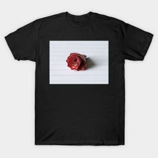 The pencil shaving of love T-Shirt